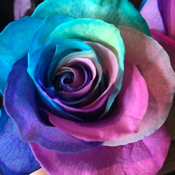 Meet your Posher, Kristen - Picture 1 of 1